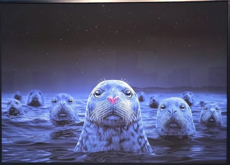 〈국경없는 얼굴들 Borderless Faces, 2026〉울트라크롬 HDR 프린트, 150x210cm