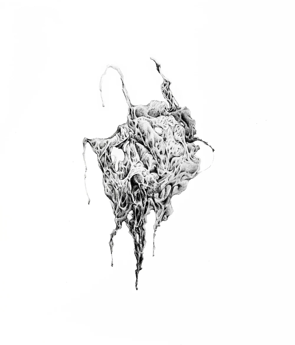 박보우, 무아無我 II
