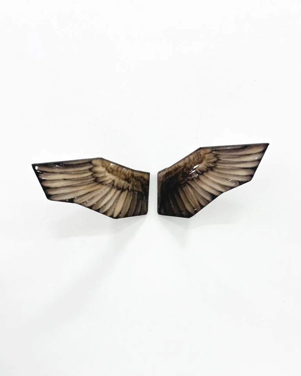 신종민, Asset:/animal/wing